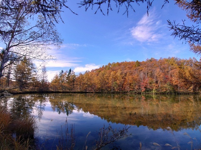 20221030_091934.JPG