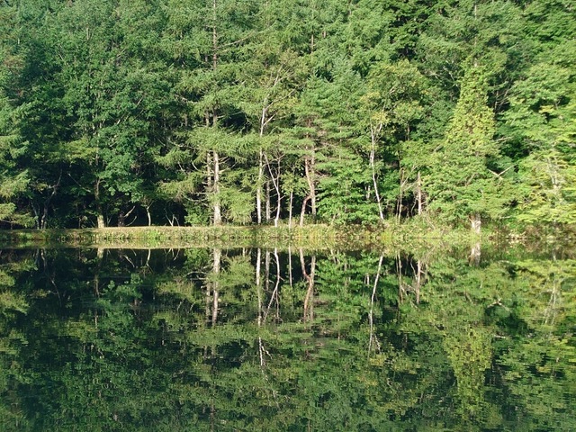 20240901_064237.JPG