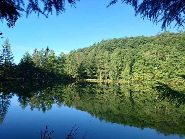 20240901_064731.JPG