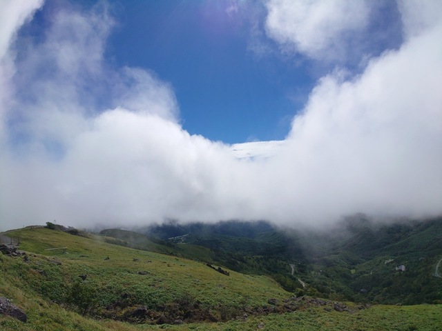 20240901_102442.JPG