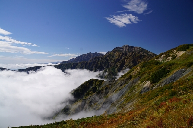 DSC04740.JPG
