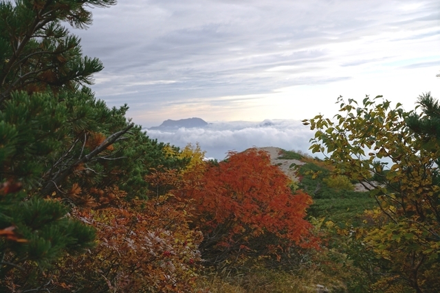 DSC04796-1.JPG