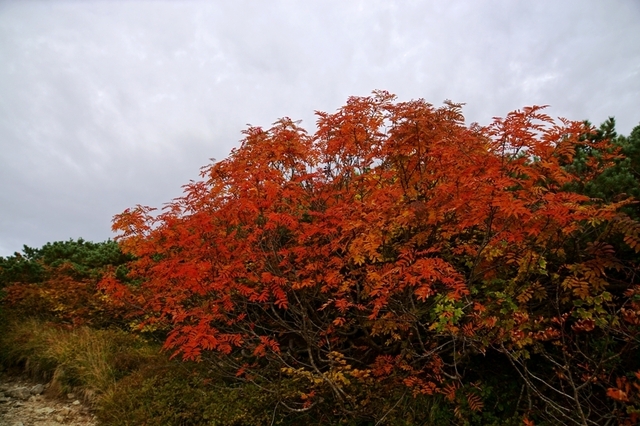 DSC04797.JPG