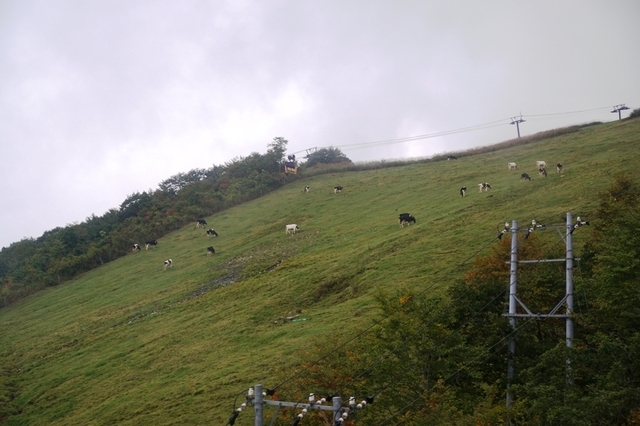 DSC04863.JPG