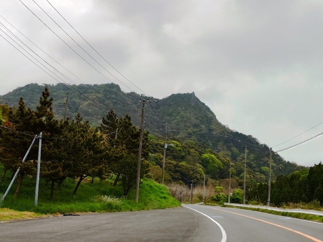 20250420_064601939.JPG
