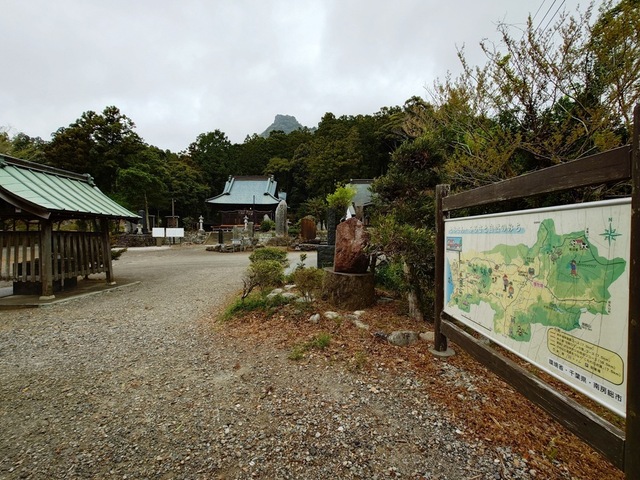 20250420_065434026.JPG