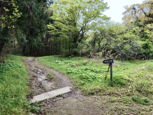 20250420_071158.jpg