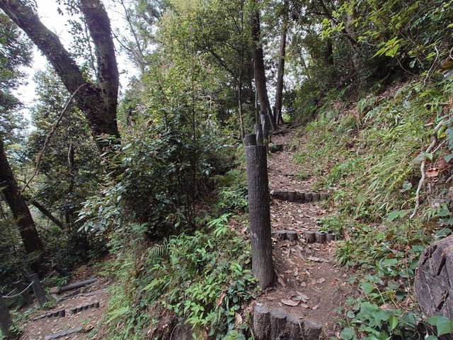 20250420_072956.jpg
