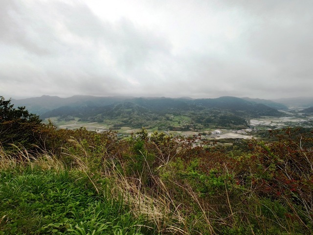 20250420_074303.jpg