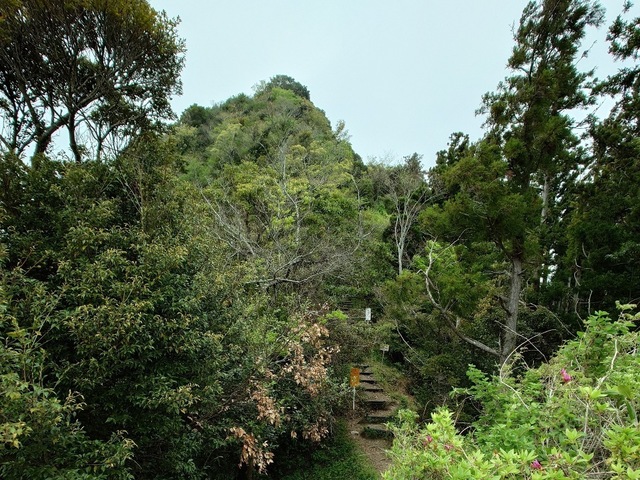 20250420_074433.jpg