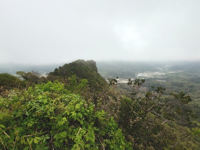 20250420_081838.jpg