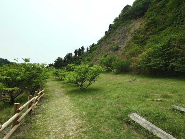 20250420_085514.jpg