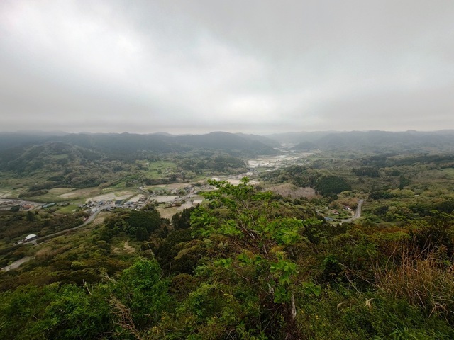 20250420_091931.jpg