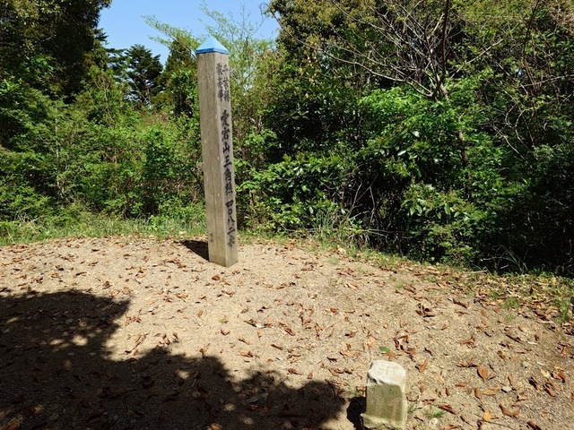 20250421_121459.jpg