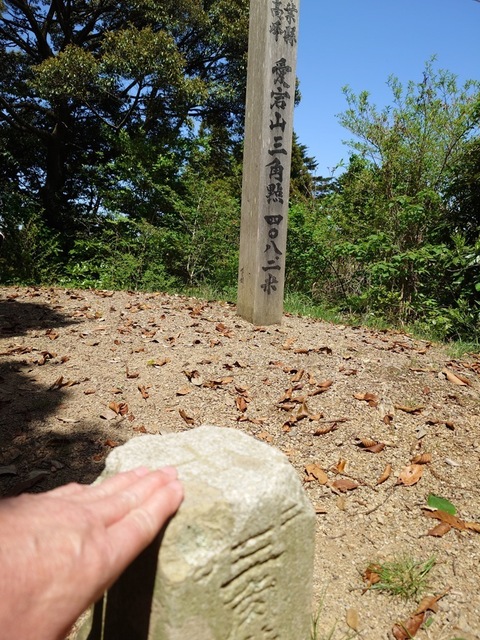 20250421_121633.jpg