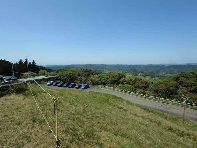 20250421_122541.jpg