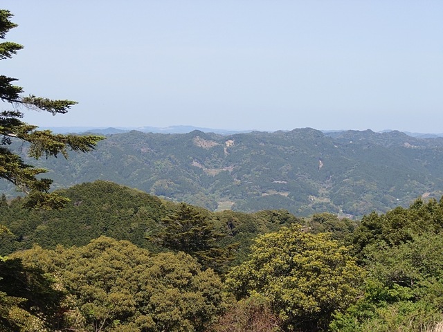 20250421_123138.jpg