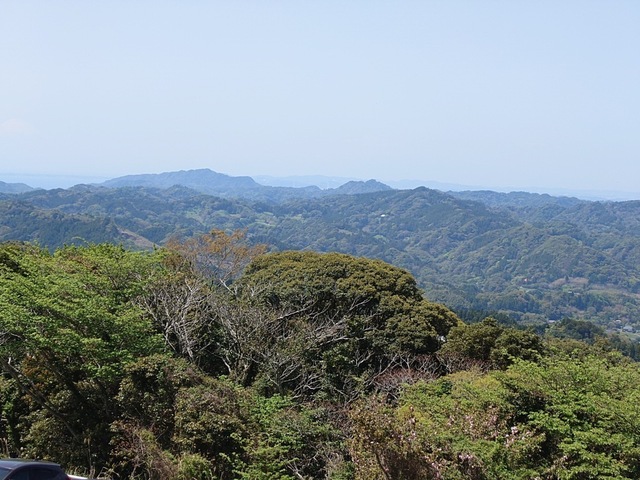 20250421_123148.jpg
